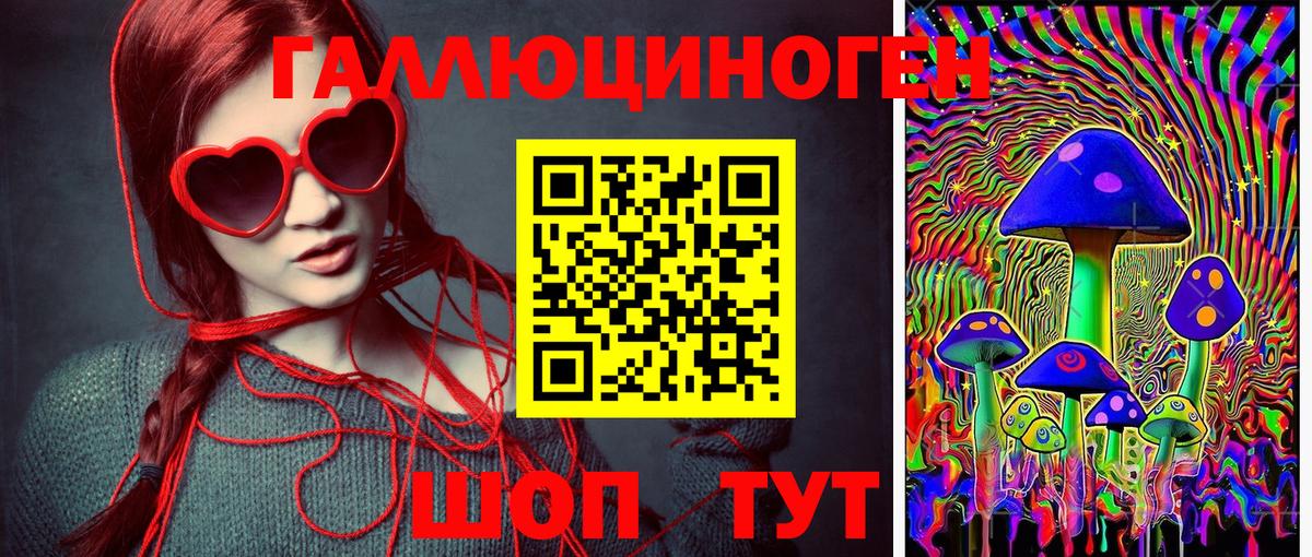 Новокубанск  Галлюциногенные грибы мицелий  Вход с VPN 